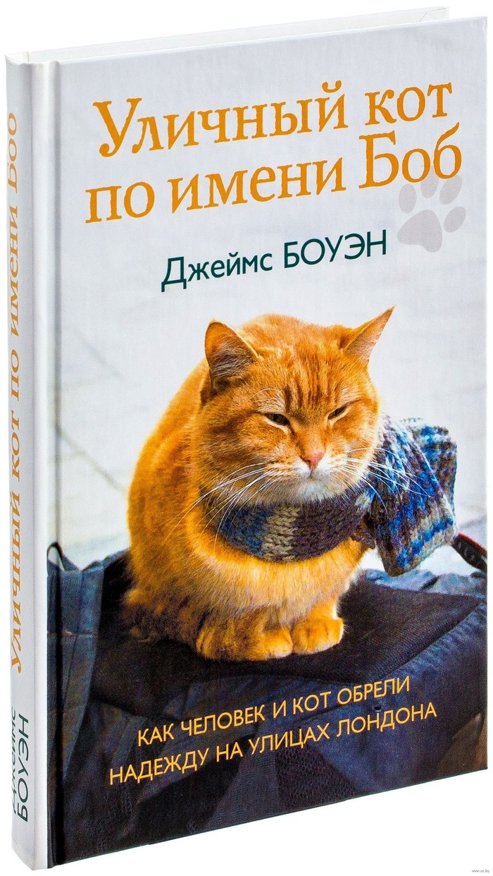 Уличный кот по имени Боб - Книги, Уличный кот по кличке Боб, Длиннопост, Совет