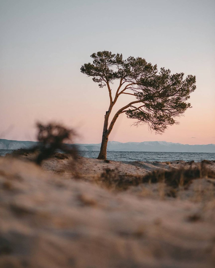 The beauty of Olkhon island. Selection number 2. - Baikal, Olkhon, Russia, Longpost