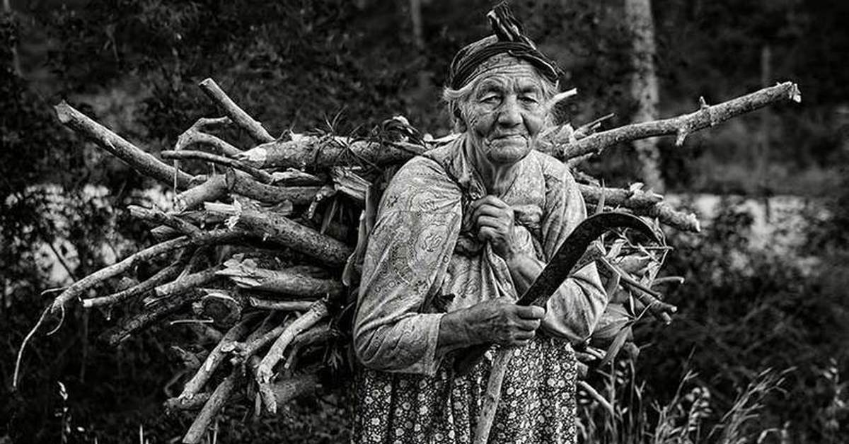 Бабушка собирает. Бабка с хворостом. Старушка с хворостом. Хворост в лесу. Старуха в лесу.