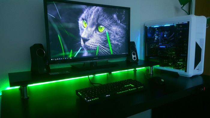 Gaming Setup - Games, Setup, Gamers, cat