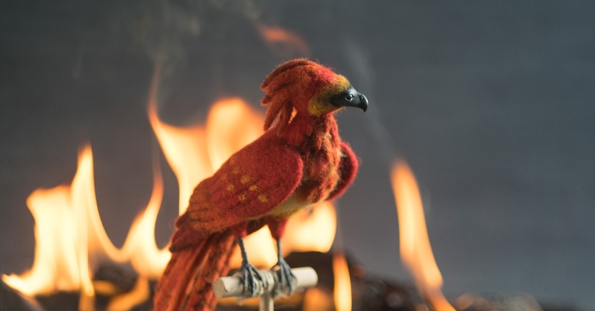 Mini phoenix. Феникс Фоукс. Птица Феникс Фоукс. Фоукс Феникс валяние. Птица Феникс валяная из шерсти.