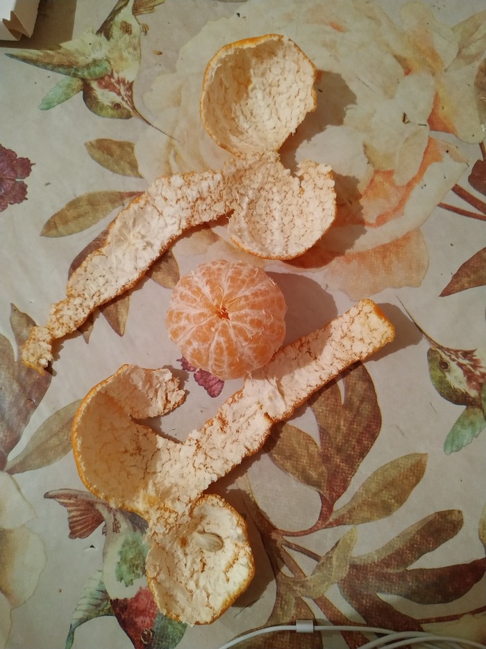 Tangerines - Rind, The moped is not mine!