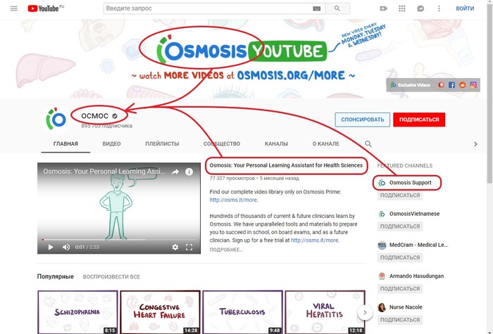 Кривая функция YouTube Интернет, Трудности перевода, Бред, Длиннопост