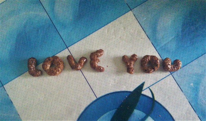 Nesquik Alphabet or Nice little thing from my husband :) - My, , Romance, I love you, Pleasant trifles, Husband, Love