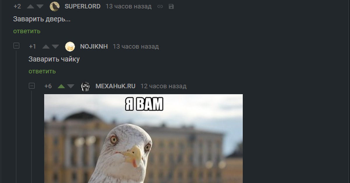Может чайку а может тебя картинка