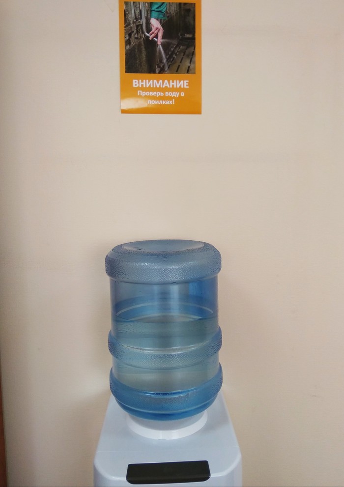 ������� ���� � ������, �����!