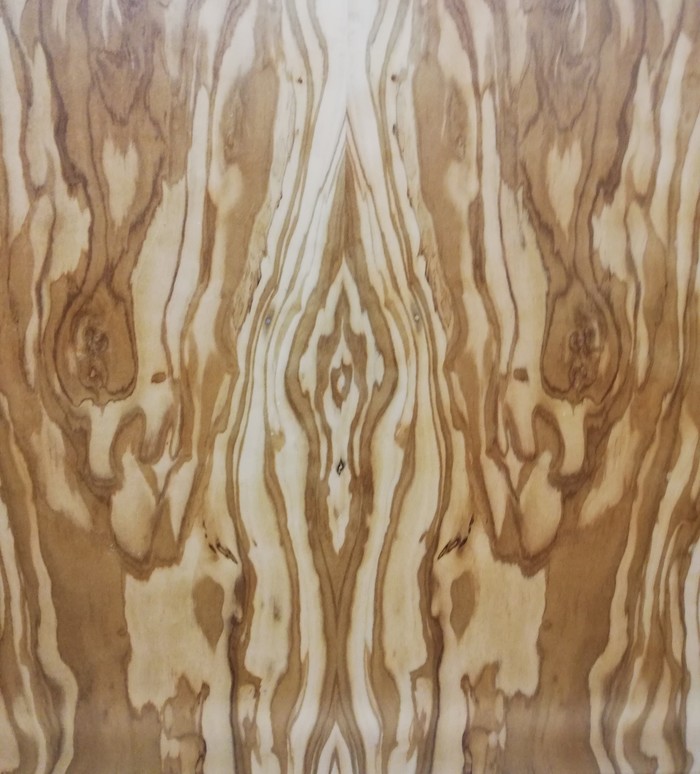 Что вы видите на этой картинке?