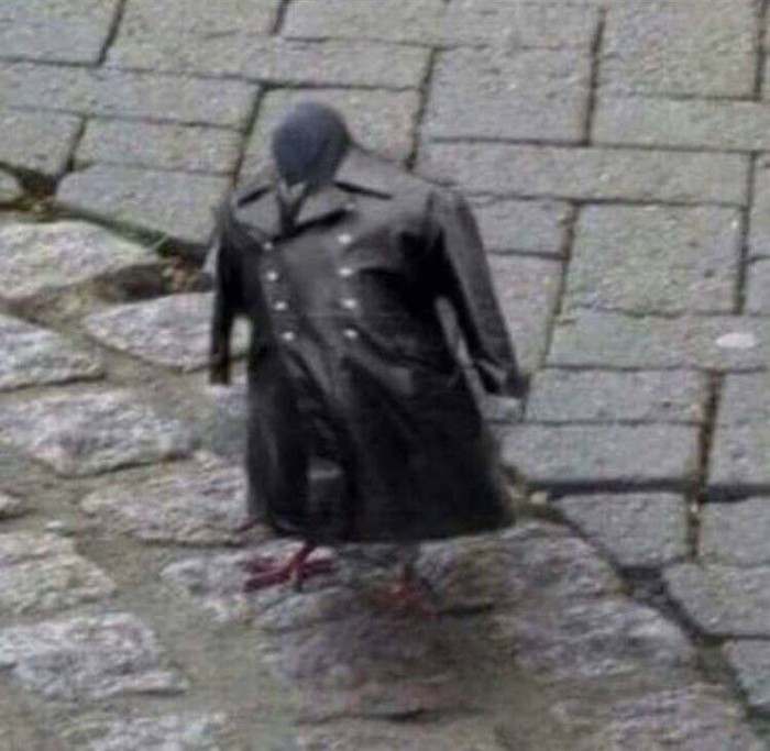 ������ ���.