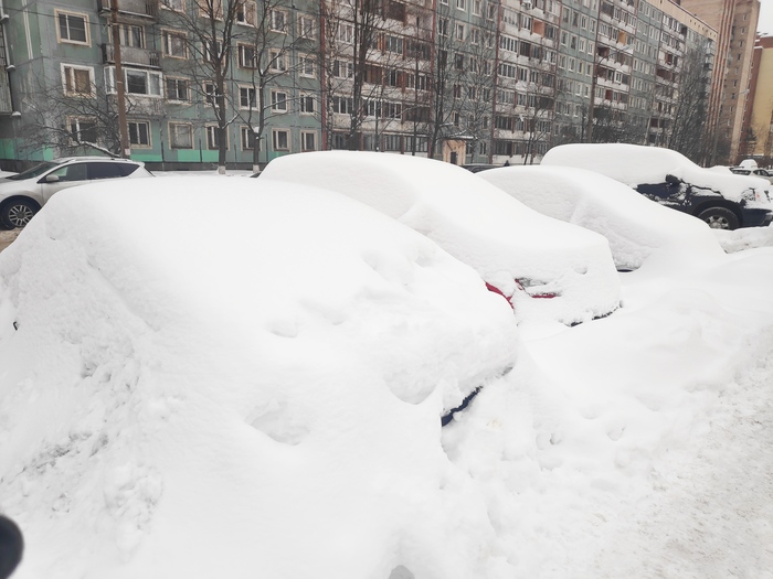 Подснежники Санкт-петербурга - Моё, Снег, Зима, Санкт-Петербург, Подснежники, Длиннопост, Авто