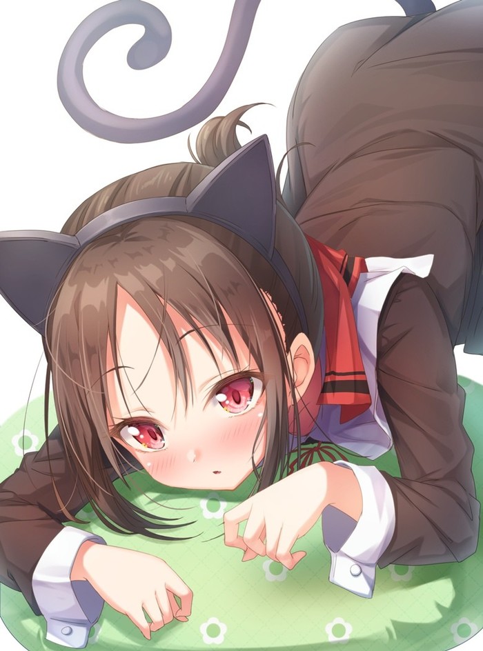 Anime Art #210 - Anime art, Kaguya-Sama wa Kokurasetai, Shinomiya kaguya, Neko, Anime, Milota