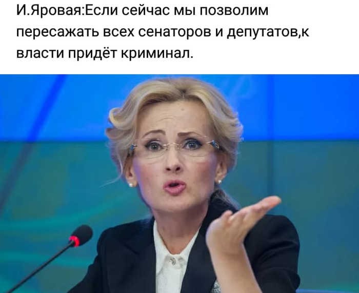 Невероятно, но факт - Ирина Яровая, Бред, Неполитикановсёже, Политика