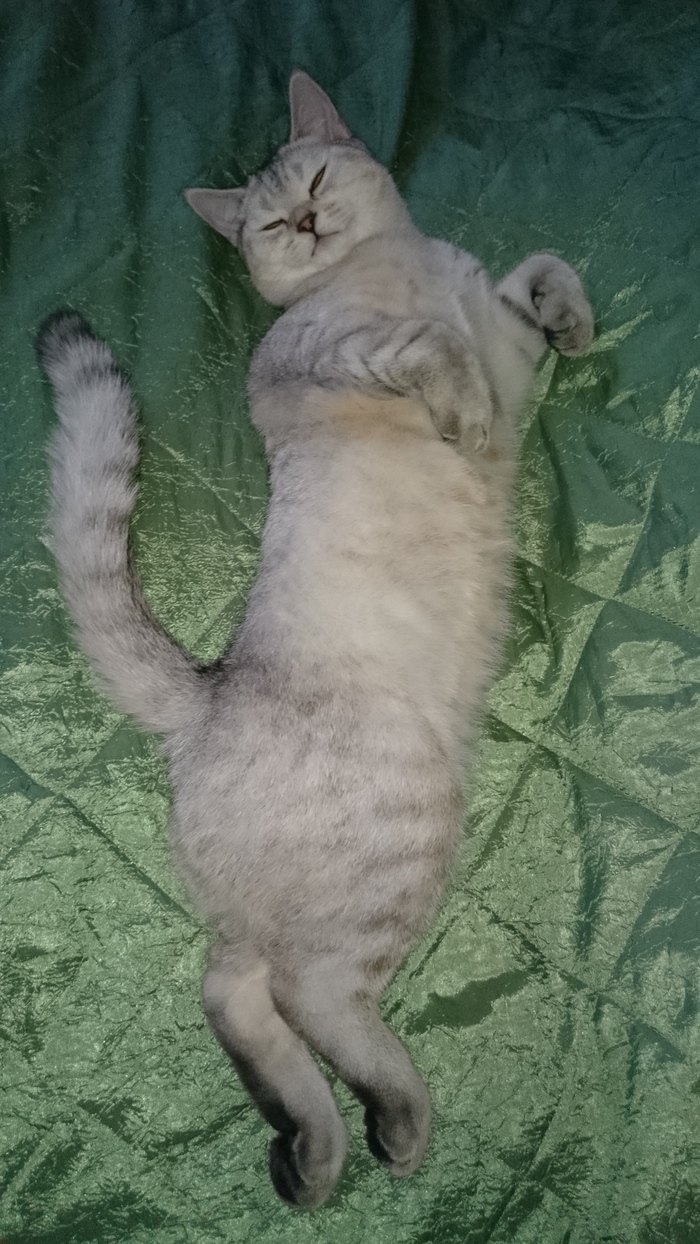   ,      )))))) , , , 