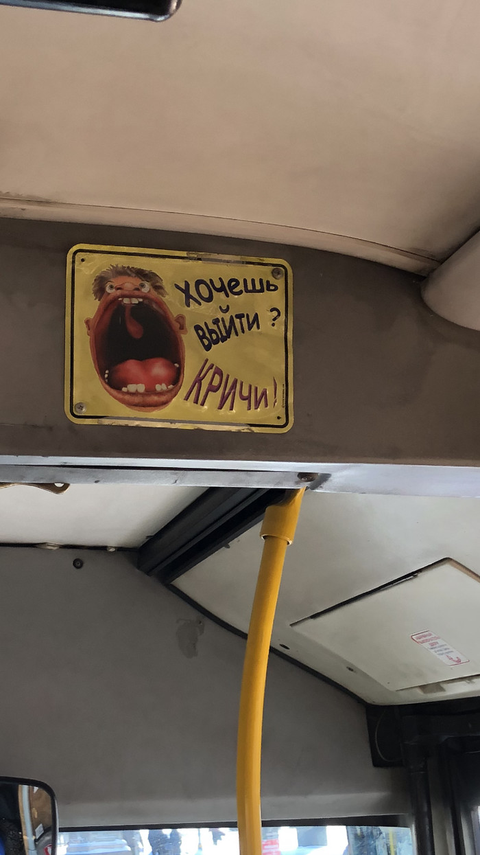 Today I saw this magnificence in one of the buses of the Culture Capital. - My, Cultural capital, Bus, Instructions, Табличка