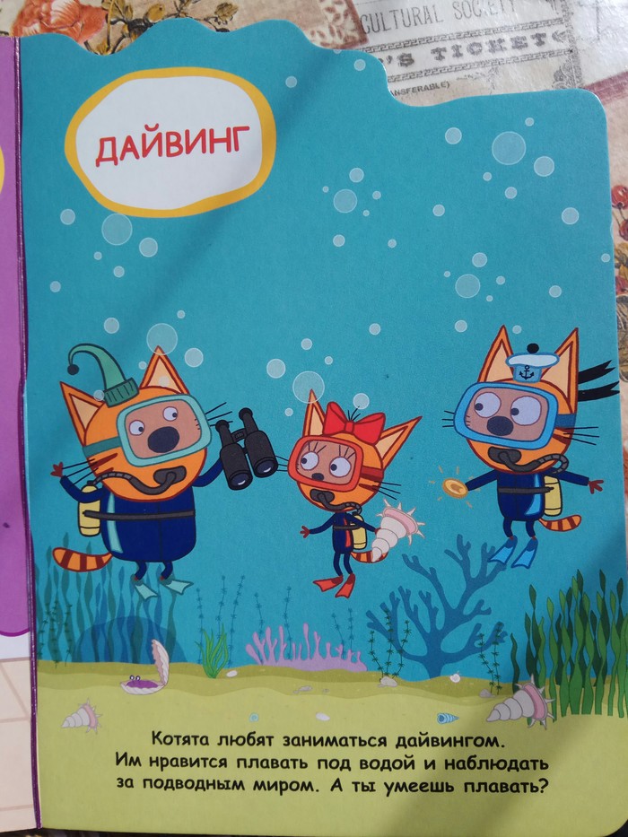 Kittens love diving - Sarcasm, Baby, cat, Пасхалка