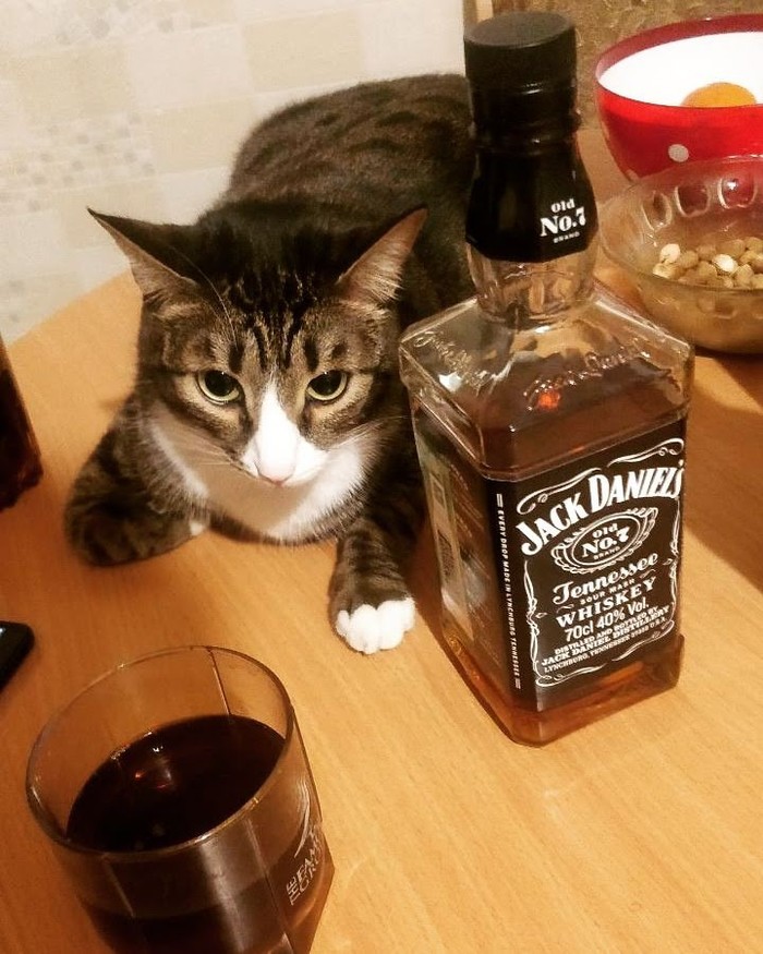��� ����� - ���� � �����)