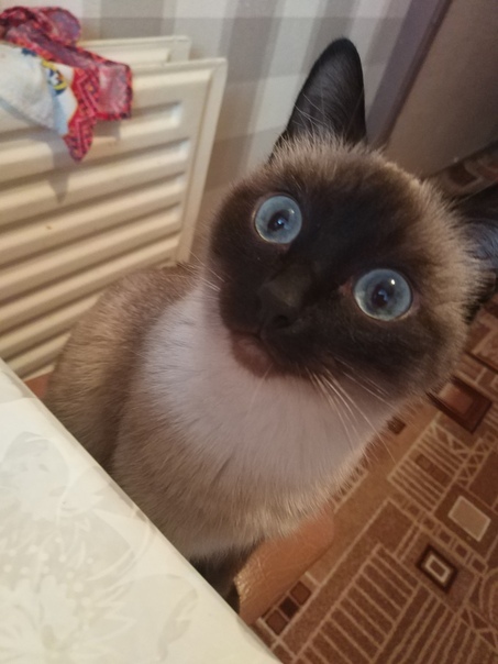 "     ???" , ,  ,  