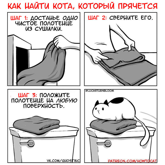 cat - Comics, Translated by myself, Howtocat, cat, Lucas Turnbloom