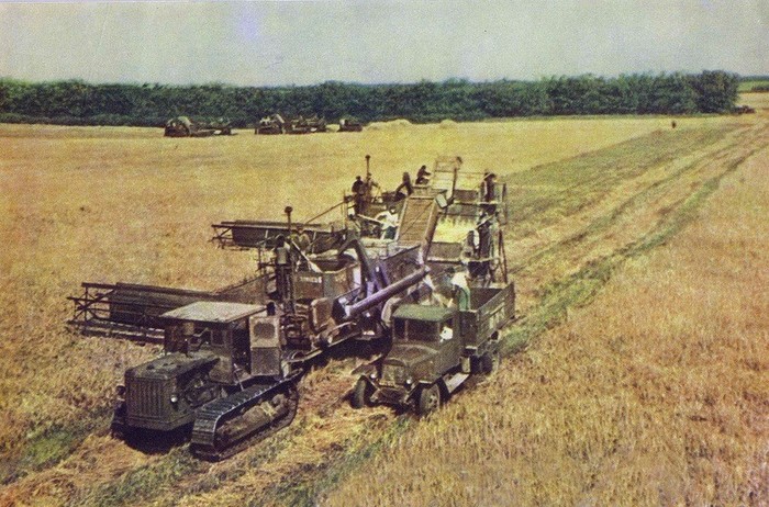 Harvesting in the cold summer of the 53rd - the USSR, Story, Old photo, , Weather, Harvest, 1953