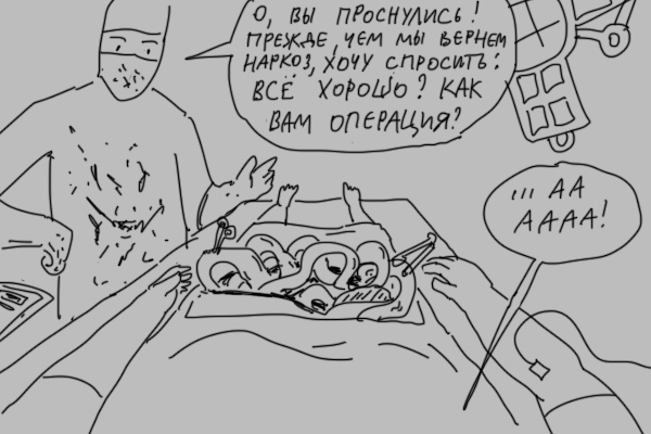 case in the operating room. - Duran, Waiters, Operation, Comics, Longpost, Service, Black humor