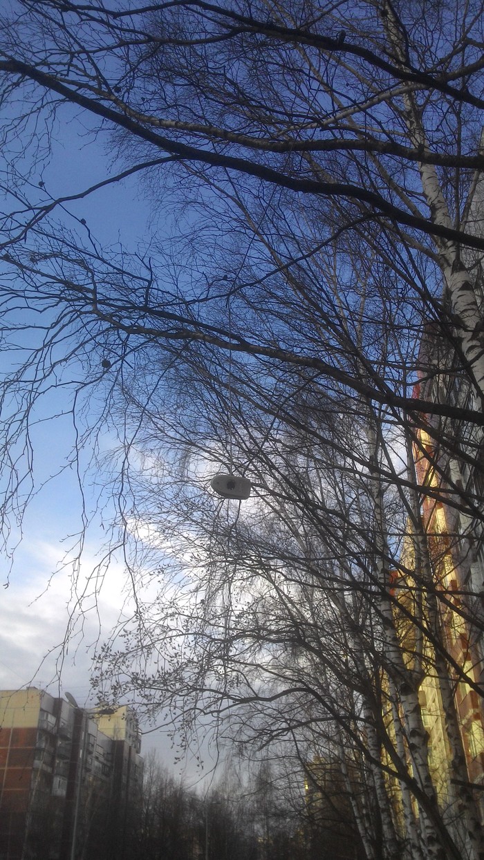 А у нас во дворе мышь повесилась