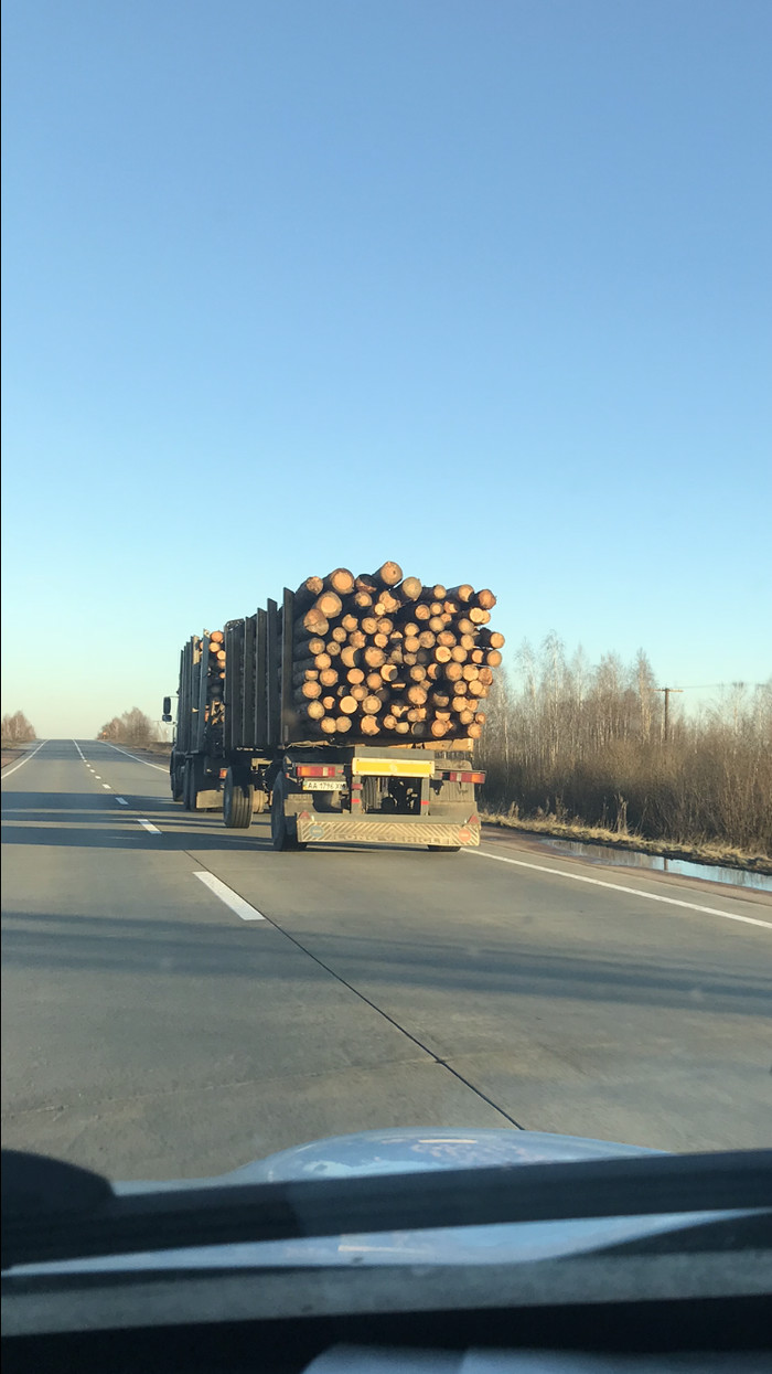 И мне фильм один вспомнился)