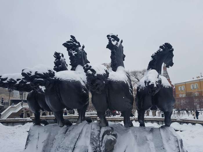 best angle - My, Moscow, Horses, Fountain, Foreshortening