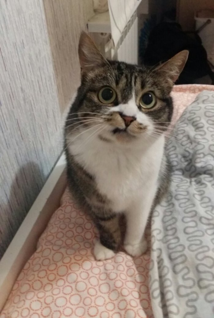 ������ �������� ������)