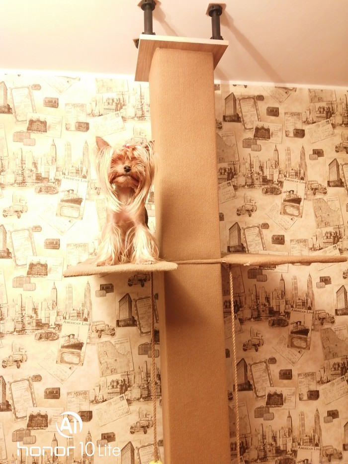 Когтеточка своими руками Когтеточка, Своими руками, Длиннопост