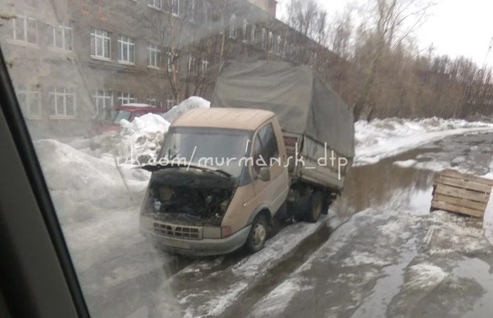 Murmansk: puddle vs Gazelle - Puddle, Gazelle, Murmansk