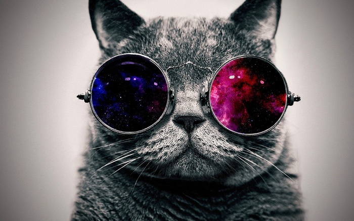 Simply space)) - cat, Cosmo, Space