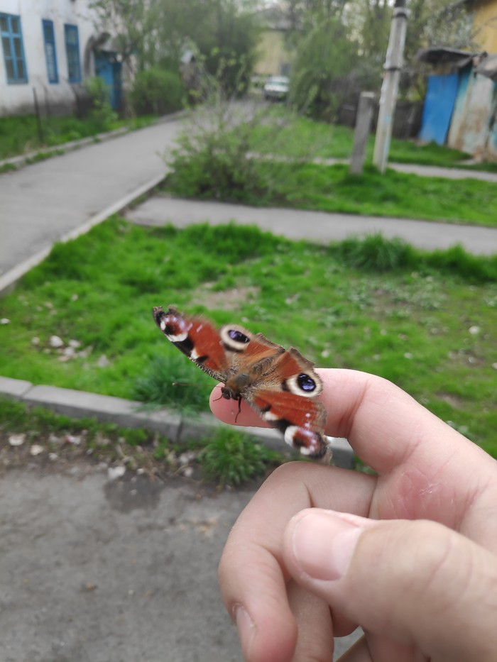 Хорошая примета