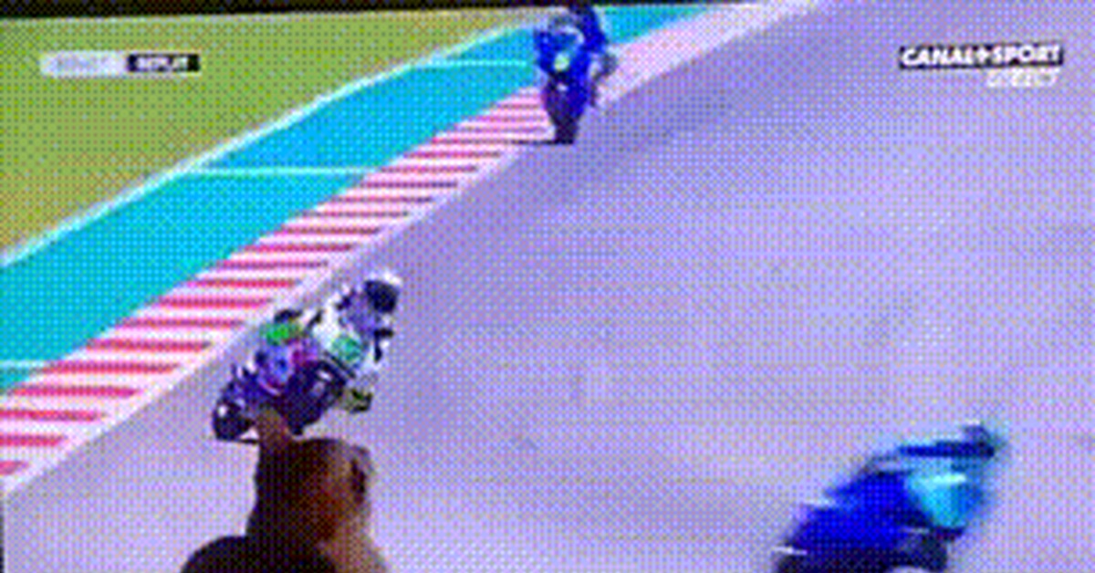 They say cats can even drop the universe - Humor, cat, GIF, Moto, TV set, Telegram (link)