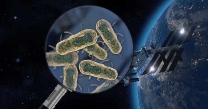 Compiled a list of microbes living on the ISS - Biosphere, Space, NASA, Research, Microbes, Bacteria, ISS