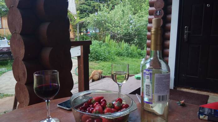 �� ���� ����� ��������, �� �� ��...