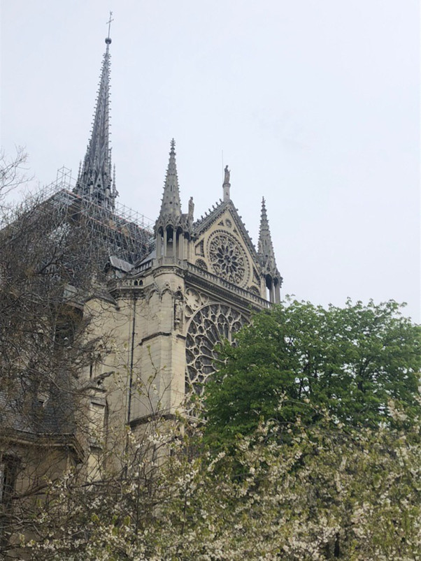 Towers will rise and fall again - My, Intellectual property, Right, Paris, League of Lawyers, Longpost, Notre dame cathedral