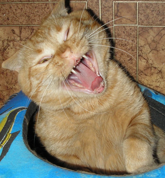 ������-�-� ... ����� ����� �� �����-�-� ...!!!