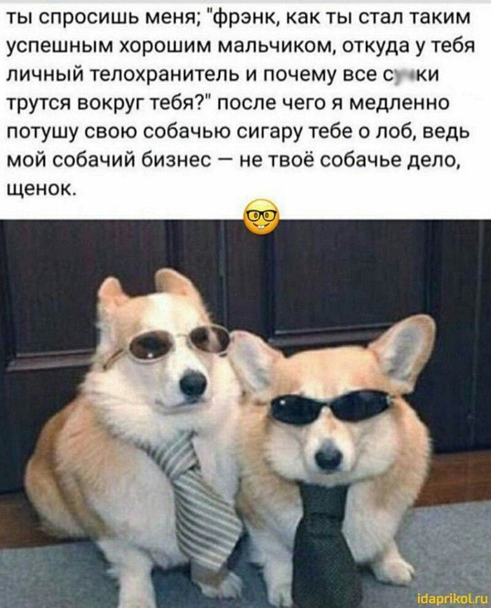 Would always be like this - Dog, Business, Mafia, Brutality
