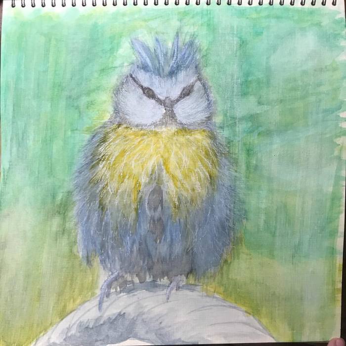 Chick. Watercolor, pastel, white gel pen. - Drawing, My, Chick, Watercolor, Birds