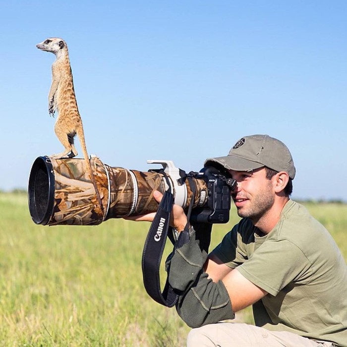 When you don't want to be photographed - The photo, Animals, Meerkat, Photographer, Camera