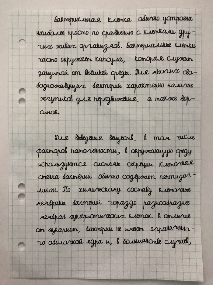 сайт где можно писать как в тетради