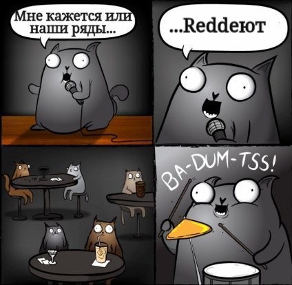 После бунда - Кот, Бунт, Reddit