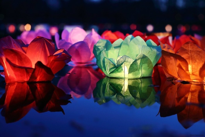 Water Lantern Festival in St. Petersburg - The festival, Water lanterns, Longpost