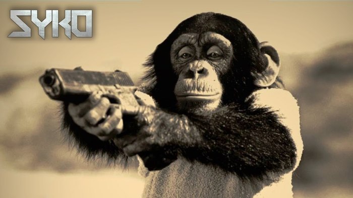 Somebody give a chimpanzee a colt - Evolution, Felix, Chimpanzee, Colt