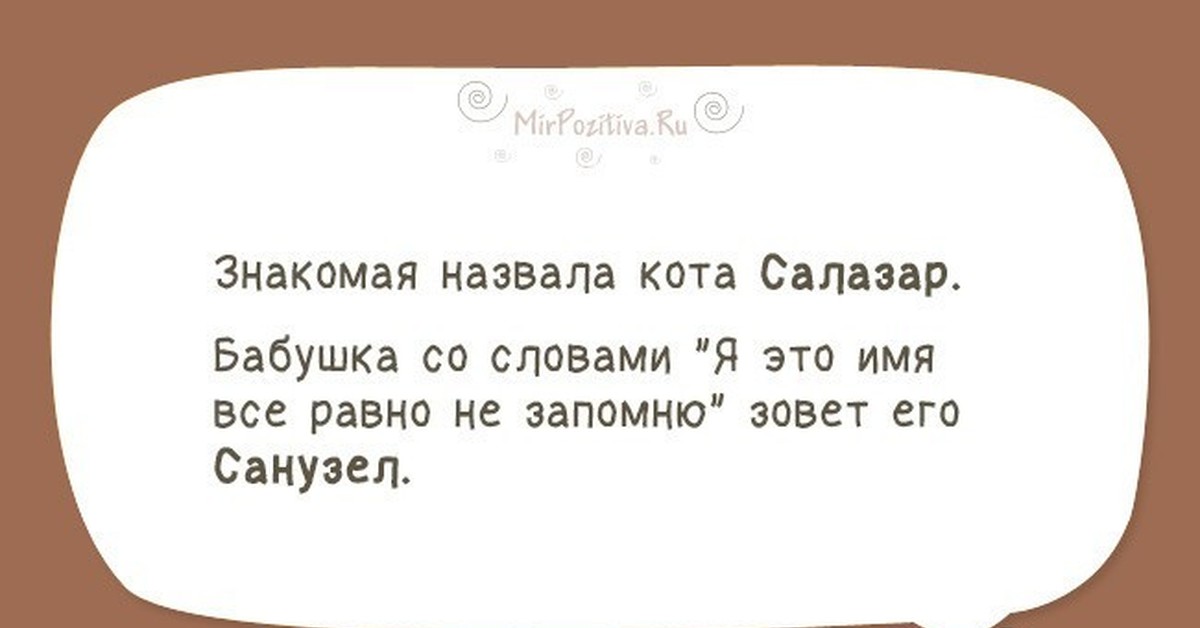 Маленький смешной текст. Смешные рассказы. Смешные рассказы из жизни. Смешные истории небольшие. Маленький смешной рассказ.