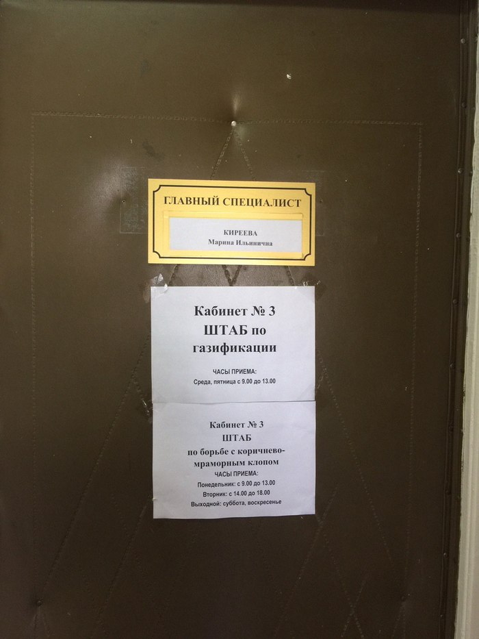 Когда в детстве играл в войнушку