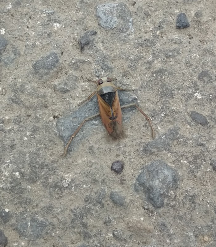 ��� �� ��������� �����?