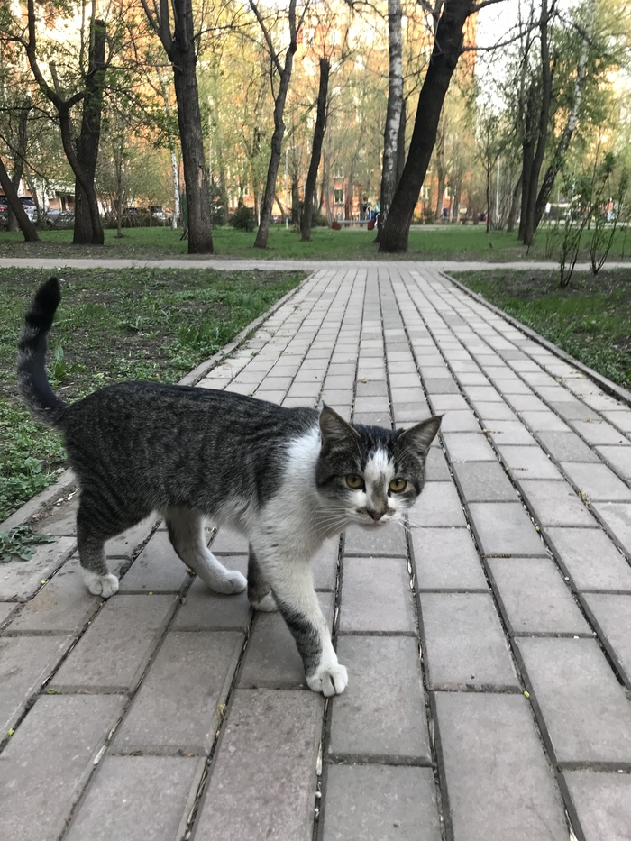 ÐоÑик в добÑÑе ÑÑки. ÐоÑ, Ðез ÑейÑинга, РдобÑÑе ÑÑки, ÐлиннопоÑÑ