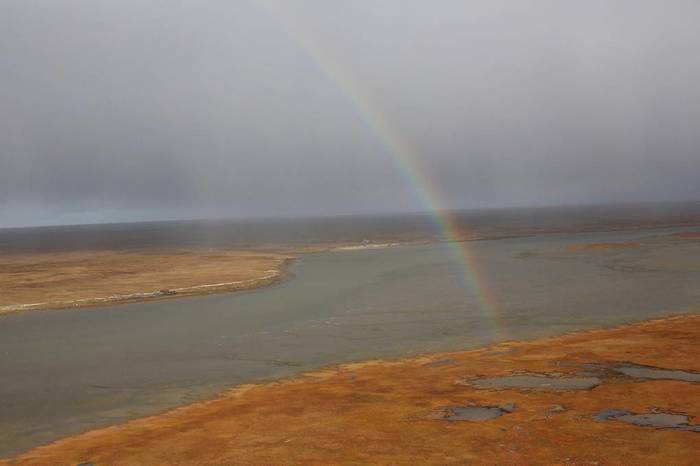 Rainbow