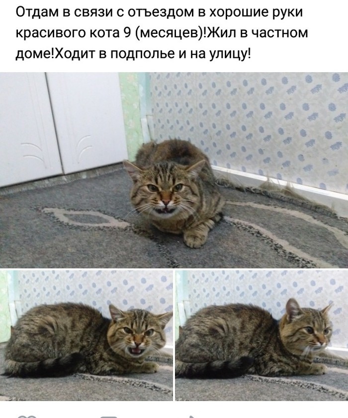 Объявления