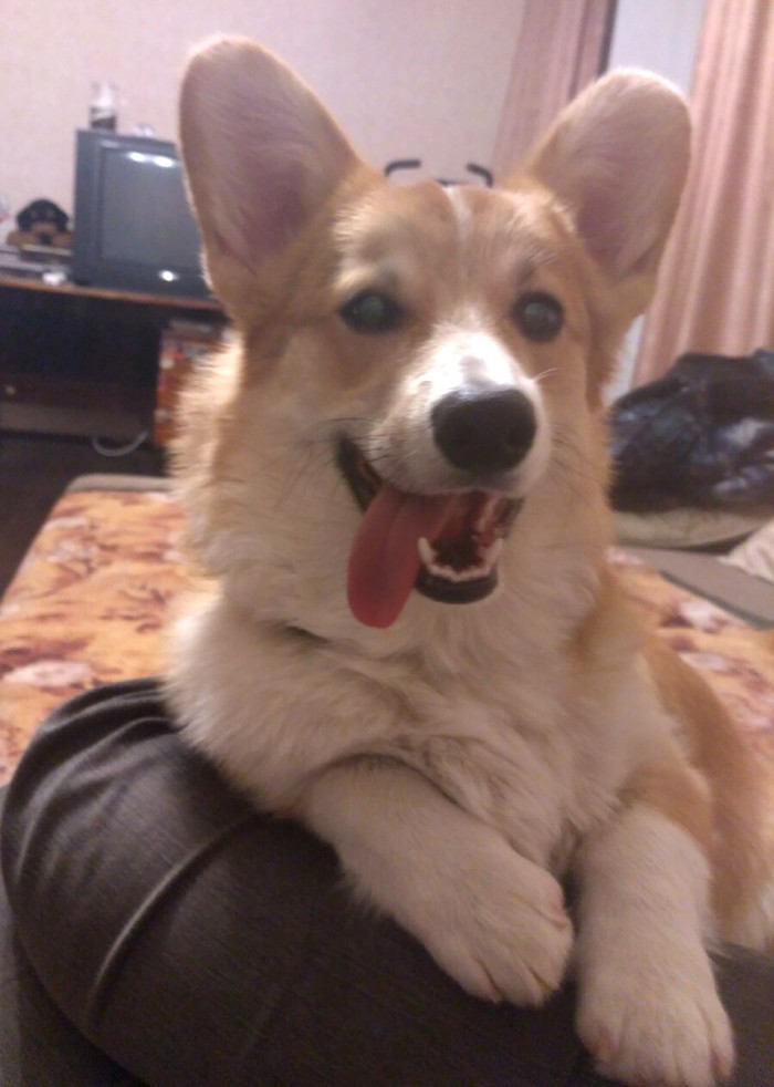 ��� � ���� ������?